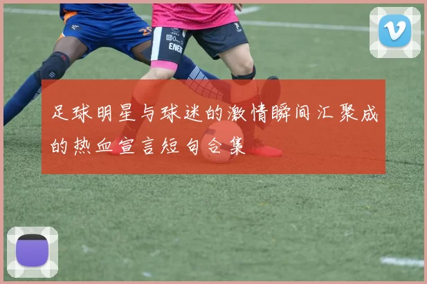 足球明星与球迷的激情瞬间汇聚成的热血宣言短句合集