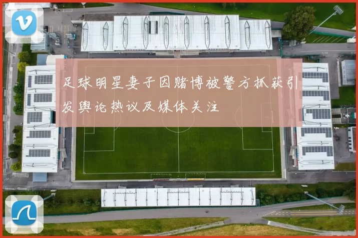 足球明星妻子因赌博被警方抓获引发舆论热议及媒体关注