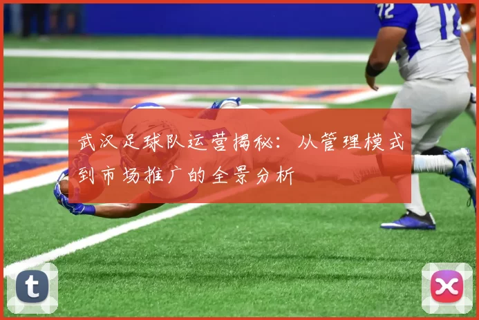 武汉足球队运营揭秘：从管理模式到市场推广的全景分析