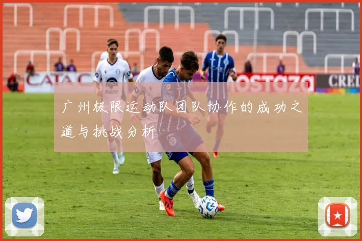 广州极限运动队团队协作的成功之道与挑战分析