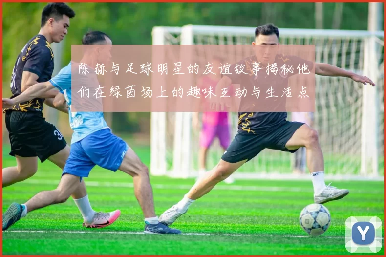 陈赫与足球明星的友谊故事揭秘他们在绿茵场上的趣味互动与生活点滴