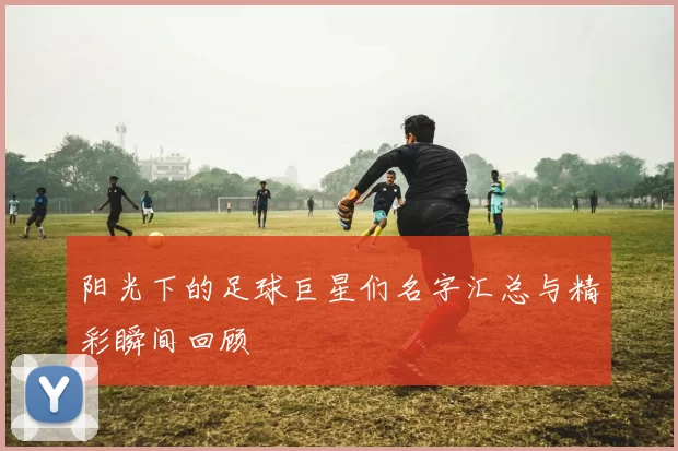 阳光下的足球巨星们名字汇总与精彩瞬间回顾