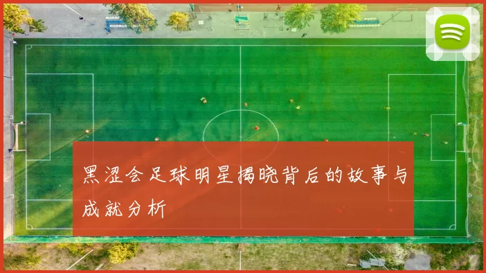 黑涩会足球明星揭晓背后的故事与成就分析