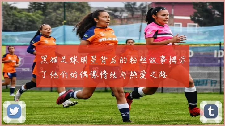 黑猫足球明星背后的粉丝故事揭示了他们的偶像情结与热爱之路