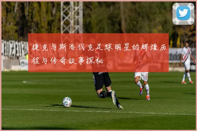 捷克与斯洛伐克足球明星的辉煌历程与传奇故事探秘
