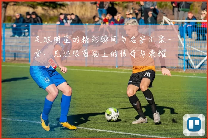 足球明星的精彩瞬间与名字汇聚一堂，见证绿茵场上的传奇与荣耀