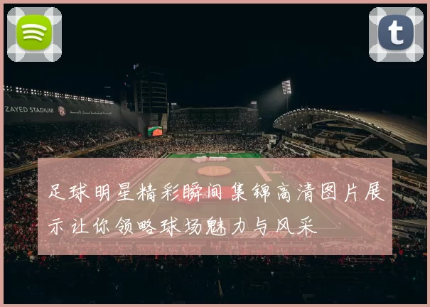 足球明星精彩瞬间集锦高清图片展示让你领略球场魅力与风采