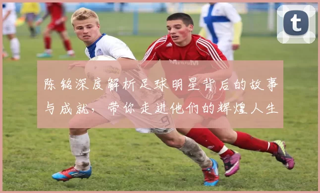 陈铭深度解析足球明星背后的故事与成就，带你走进他们的辉煌人生